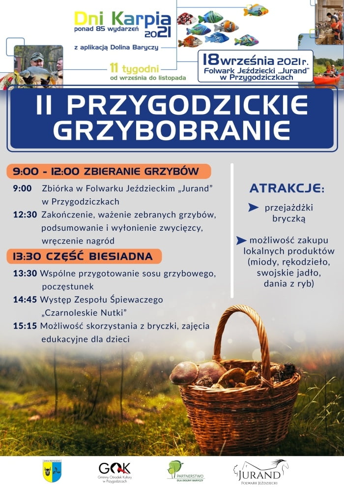 grzybobranie 2021_maly