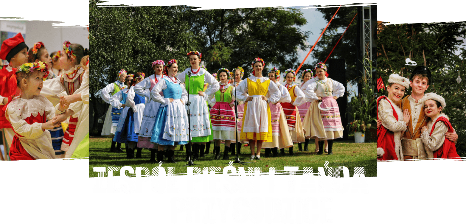 ZPIT PRZYGODZICE_NET